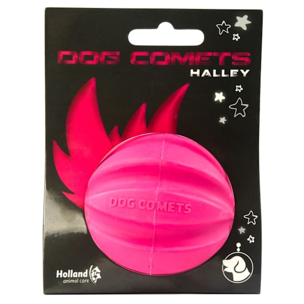 Dog Comets Ball Meteorit Rose