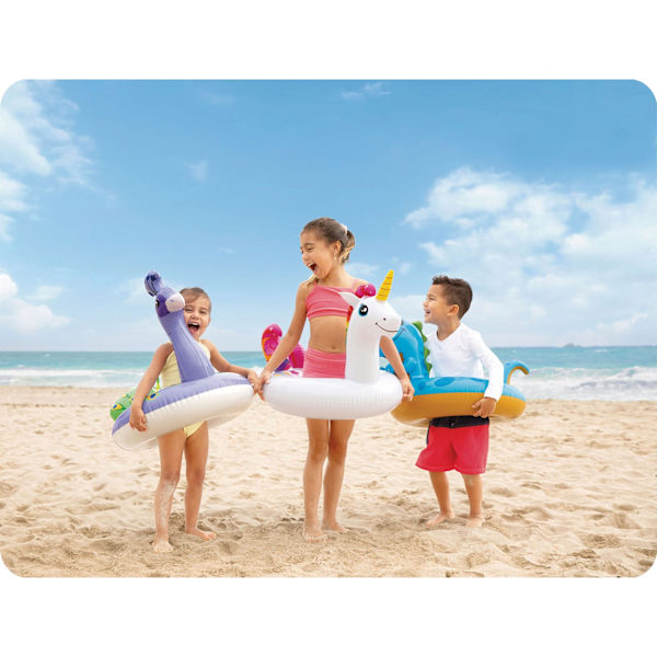 Paw INTEX 58221 simring