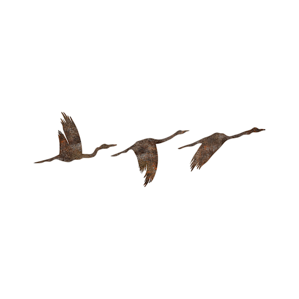 Dekorativt metalvægtilbehør Rusty Birds 1