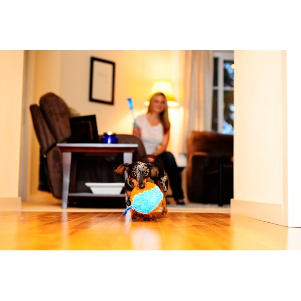 Chuckit indendørs shaker