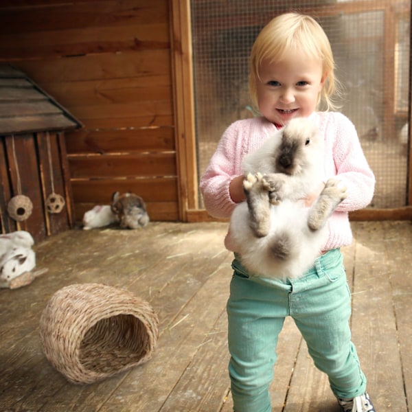 Tarvikesarja pienille eläimille 4 osaa