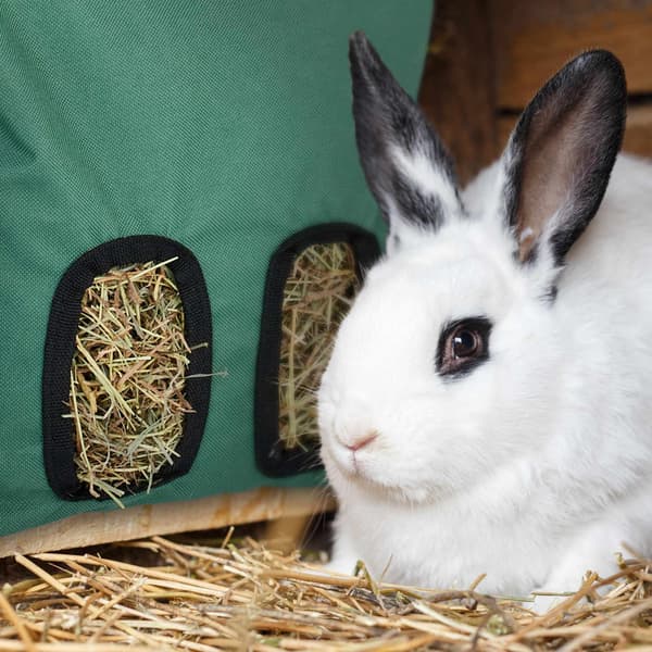 Heinäpussi pienille eläimille