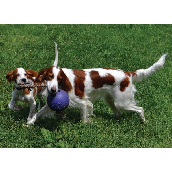 Jolly Ball Romp-n-Roll 10 cm Blå