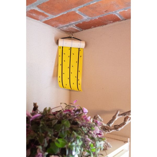 Knock Off Fly Roll Yellow 7 M