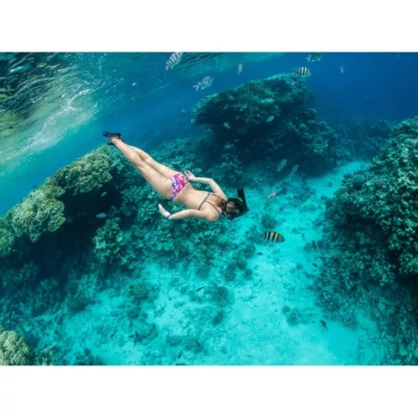 Snorkelmaske for fuld ansigt L/XL del 23462