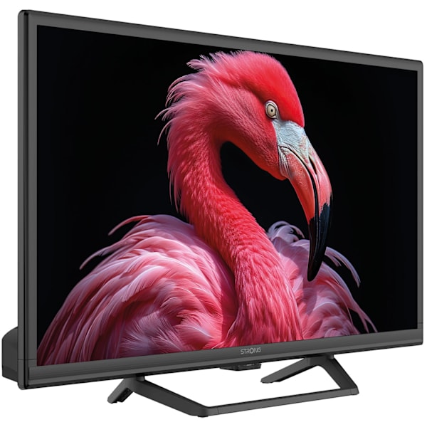 TV 24" 230/12 Volt Google TV SRT24HG4723C Sort