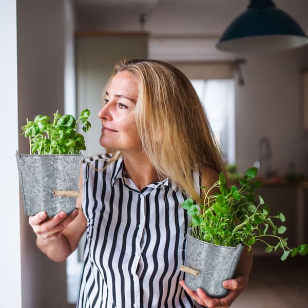 Zink grydesæt med 5 stk