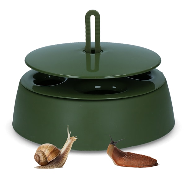 Snigelfälla