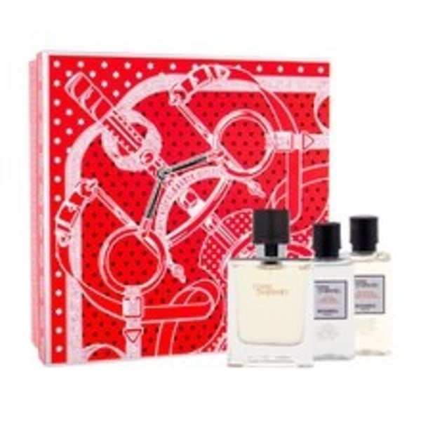 Hermes - Terre D´Hermes SET EDT 50 ml + Shower Gel 40 ml + After