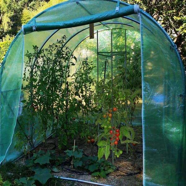 Plantestøttesæt på 4.150 cm
