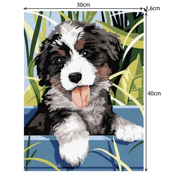Målning efter siffror 40x30cm - Maaleo dog 22780