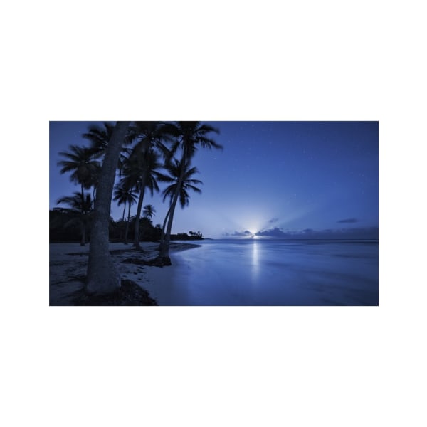 Tropisk måneopgang - 21x30 cm