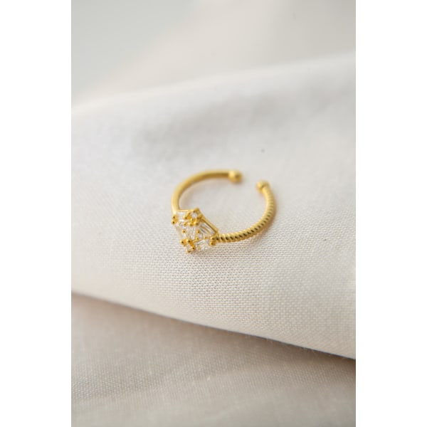 Silverring FA182353