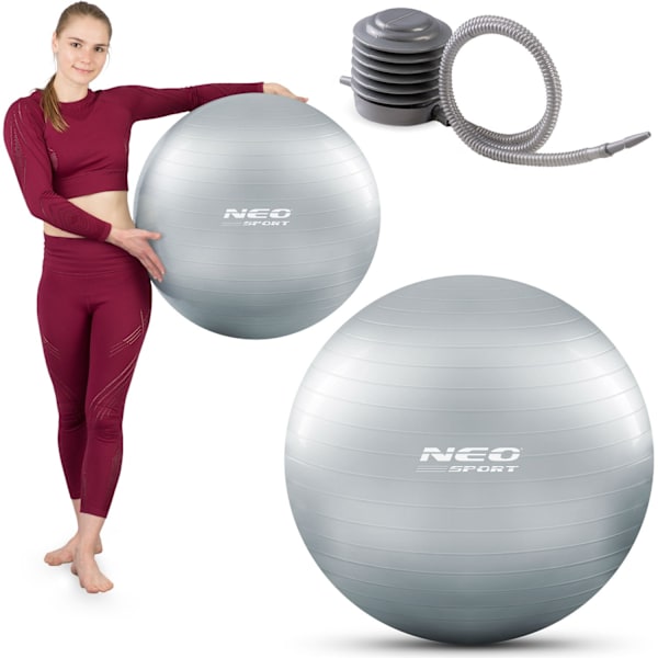 Træningsbold 65 cm NS-951 Sølv