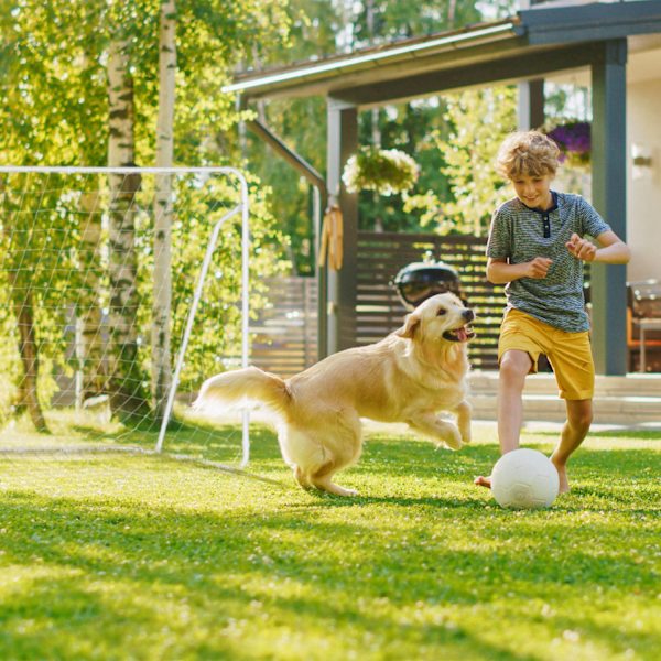 Fodboldmål i hvidt stål