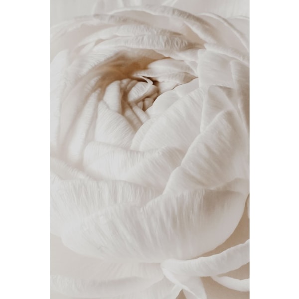 Silk Flower - 70x100 cm