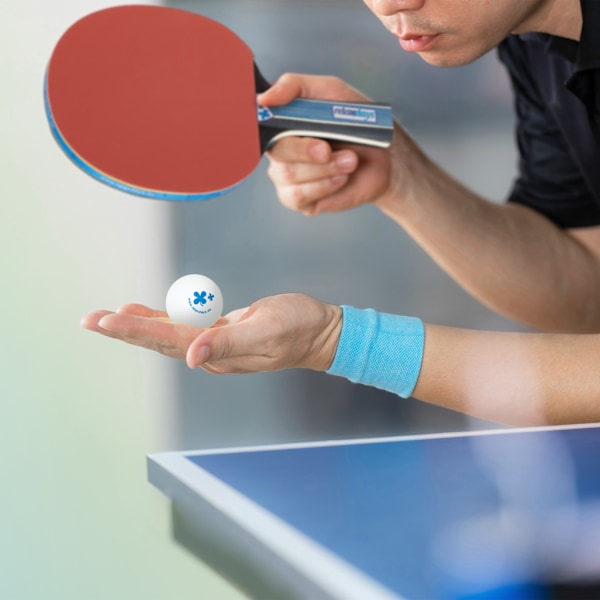 Bordtennisketsjer sæt med net