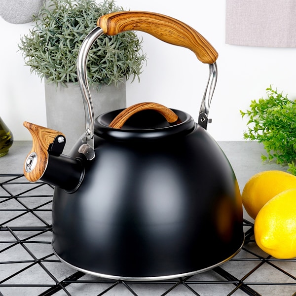 Vattenkokare med visselpipa, stål, svart, 2,5 l