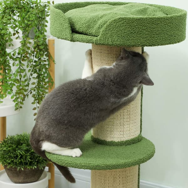 Kattetræ 91 cm med seng, platforme, sisalstolper, grøn