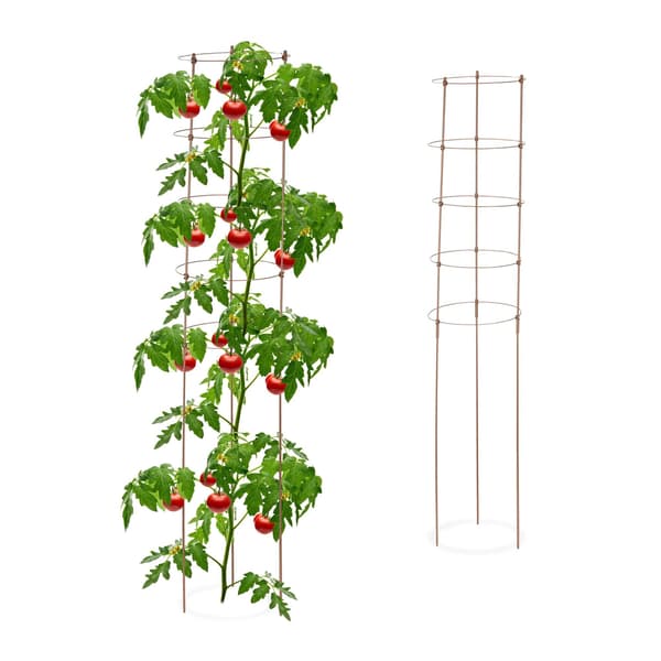 Stöd för klätterväxter, 150 cm, set om 2, brun