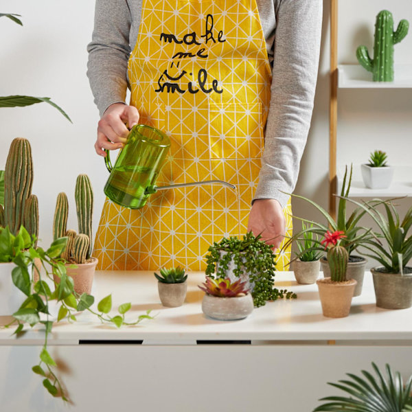 Kastelukannu ruukkukasveille 1 litran 2 kpl sarja
