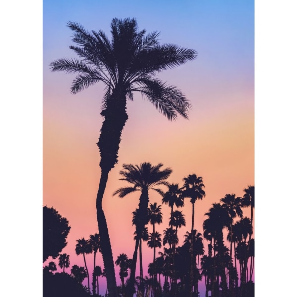 Palms At Sunset - 21x30 cm