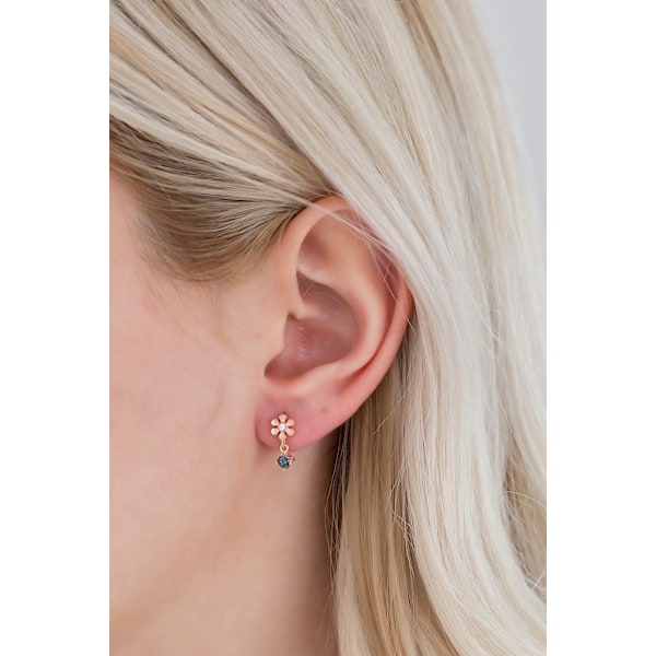 Sølvørering NRZ99159