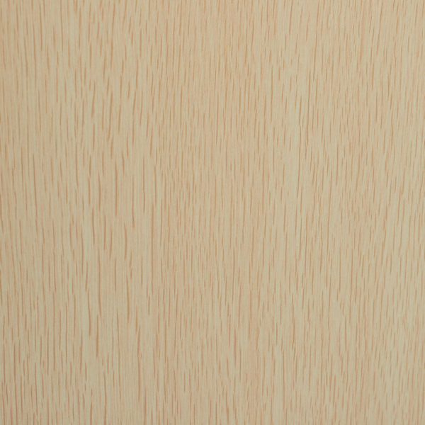 Dokumentrum 6 rum