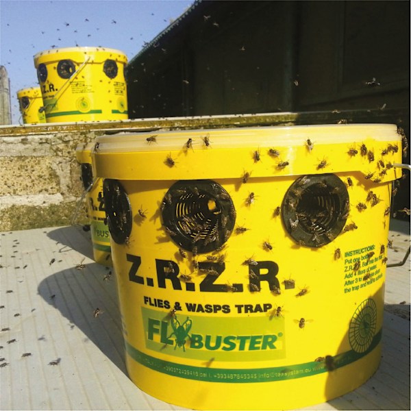 Flybuster Trap 6 l. ilman syöttiä