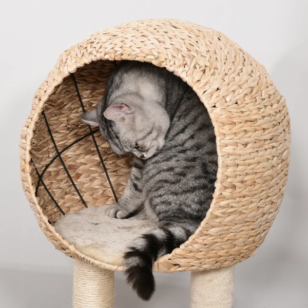 Kissanpuun Raapiminen Kissanpentujen Huonekalut Cat Cave Ball Lelulla Sisal Pehmeä Pehmo Beige Korkeus 100Cm