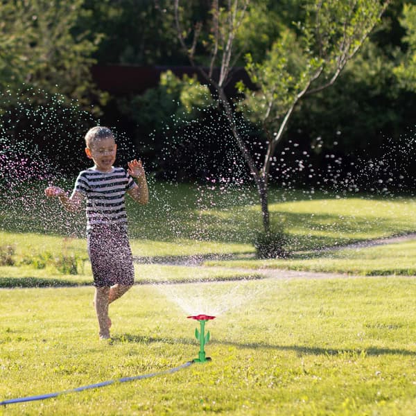 Sprinklerblomma - set med 6 st