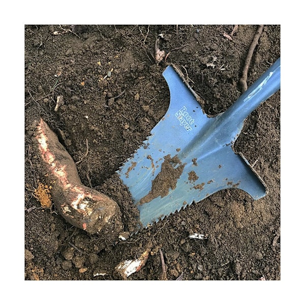 Root Slayer - Have Spade - Massive Edition