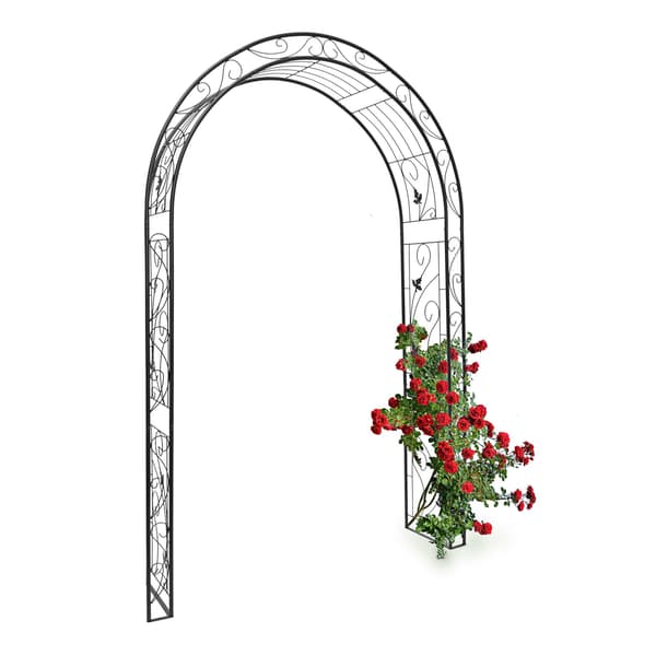 Rosenträ blad