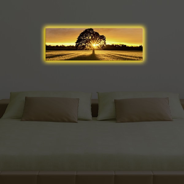 Dekorativ LED-belyst canvasmålning 3090DACT-68