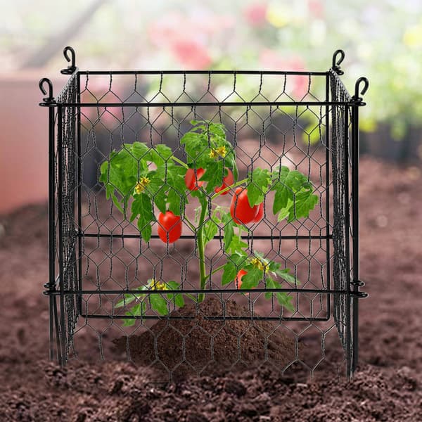 Växtburar, 4-pack 33 cm metallnät djurskydd