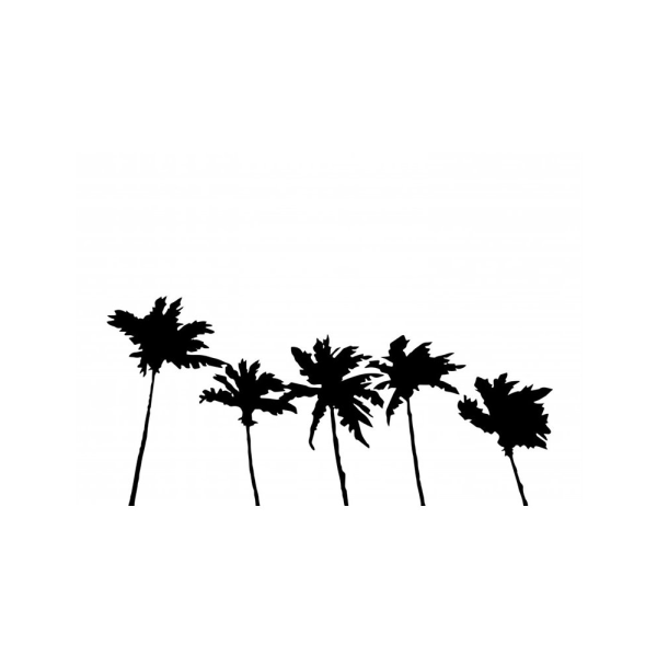 Palms White - 21x30 cm