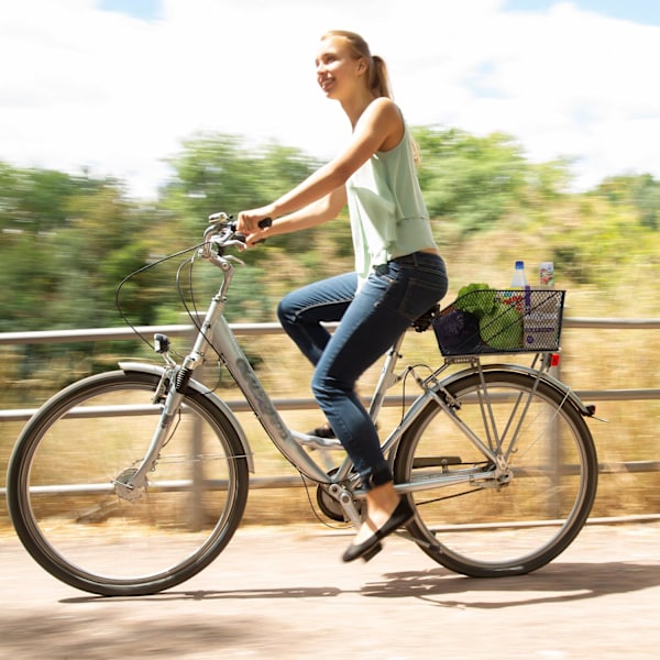 Cykelkorg för pakethållaren