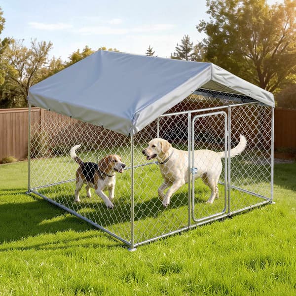 Hundgård för utomhusbruk 2 x 2 x 1,6 m, låsbart tak