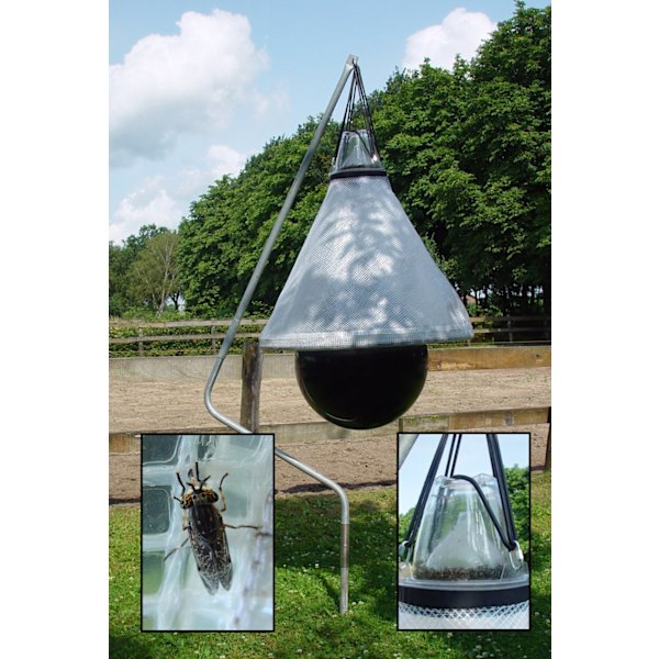 Loer Horsefly ansa valmis