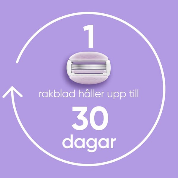 Partakoneen terät Comfortglide Breeze 8kpl