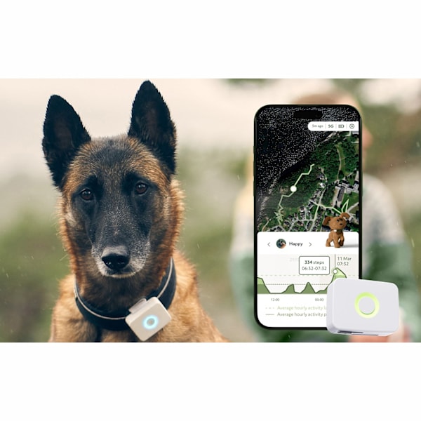 Lildog 2 GPS Tracker til hunde