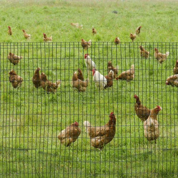 PawHut metalliverkko Koiran aita Siipikarja-aita Siipikarjaverkk