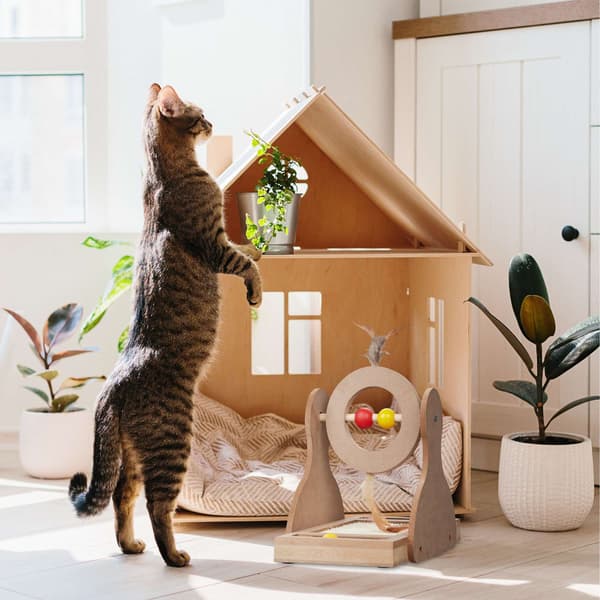 Kradsemåtte til katte med sisalmåtte