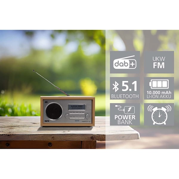 DABMAN 30 Mobil DAB+ / FM-radio Trä