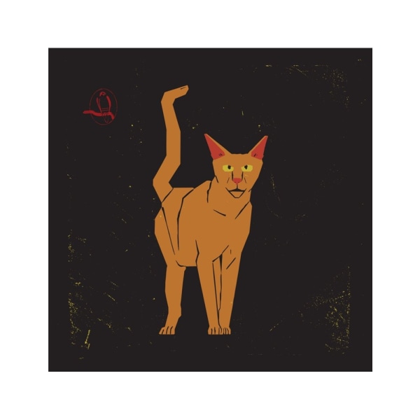 Orange Cat - 50x70 cm