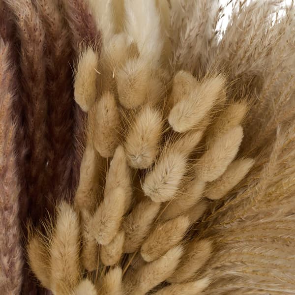 Kuivattu Pampas-ruohosetti, 144 osaa – Boho Decor