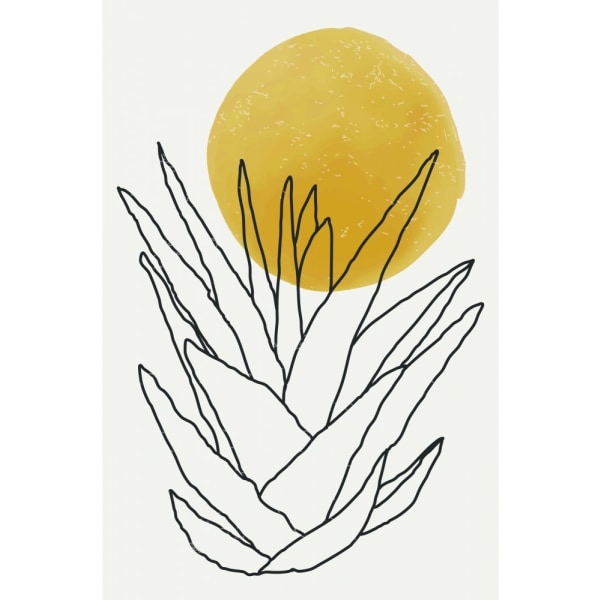 Abstract Agave Sunshine 1 - 70x100 cm