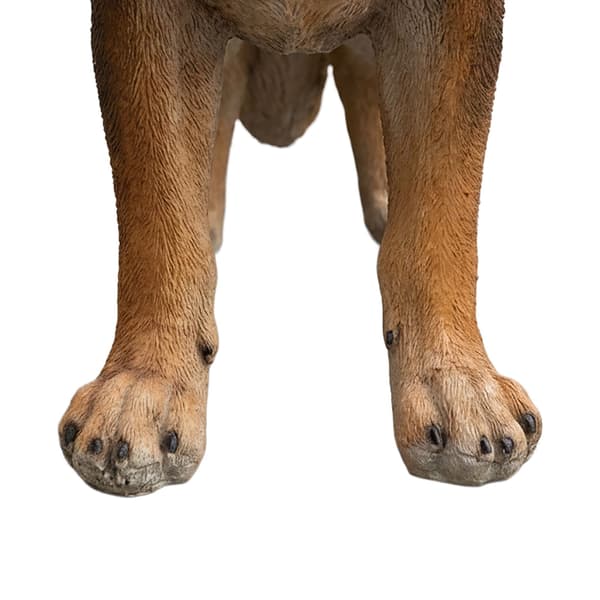 Havestatue af schæferhund, polyresin, 114 cm