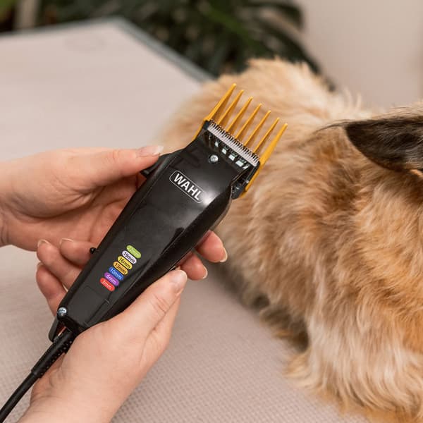 Wahl Multi-Cut Pet Clipper för små och medelstora hundar, 7 styrkammar