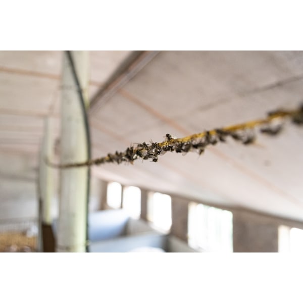 Knock Pest Fly Cord Erstatningsrulle 400 m
